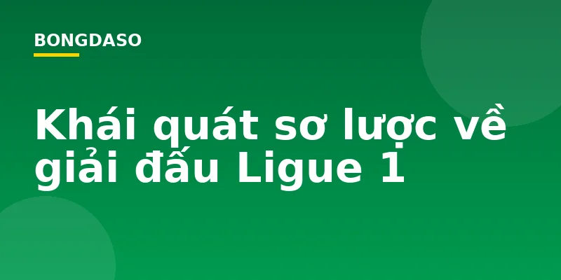 Khái quát sơ lược về giải đấu Ligue 1