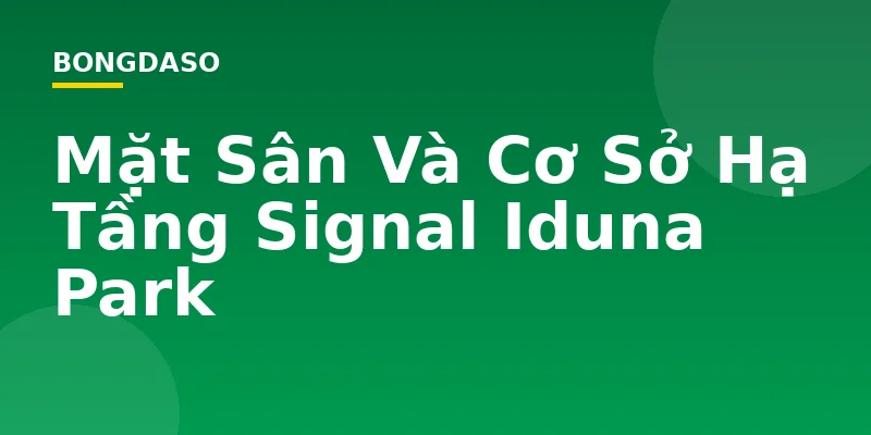 Mặt Sân Và Cơ Sở Hạ Tầng Signal Iduna Park